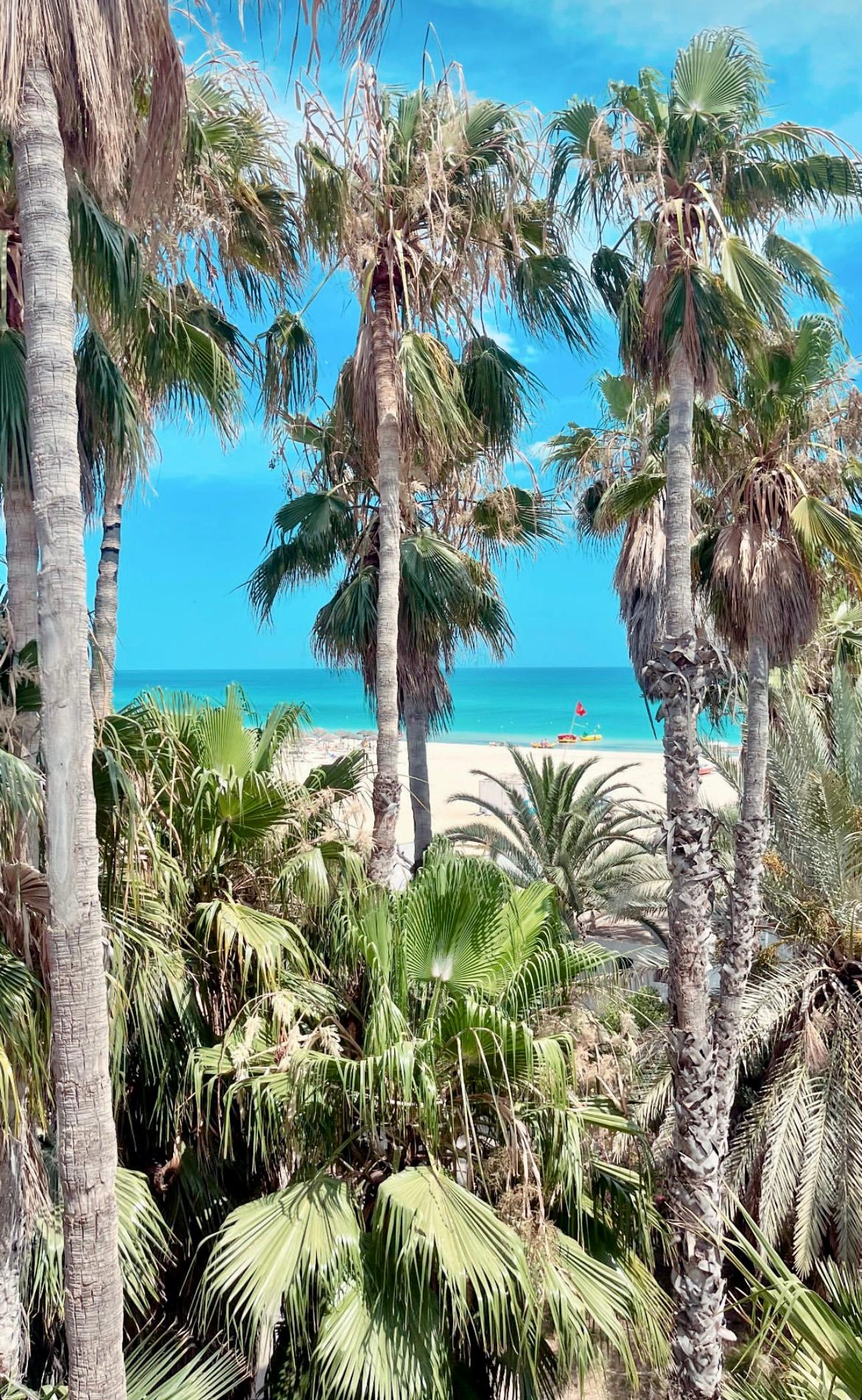 Regency Hammamet